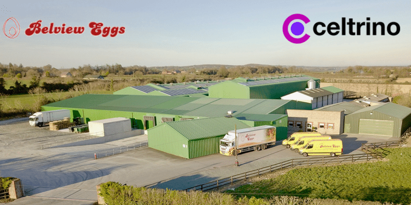 Belview Eggs